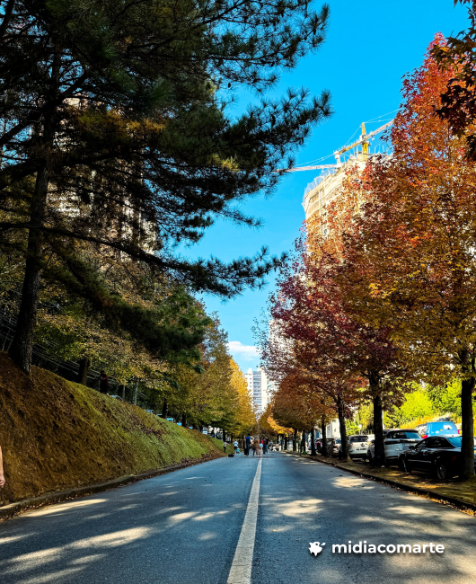 Rua do Outono em Curitiba